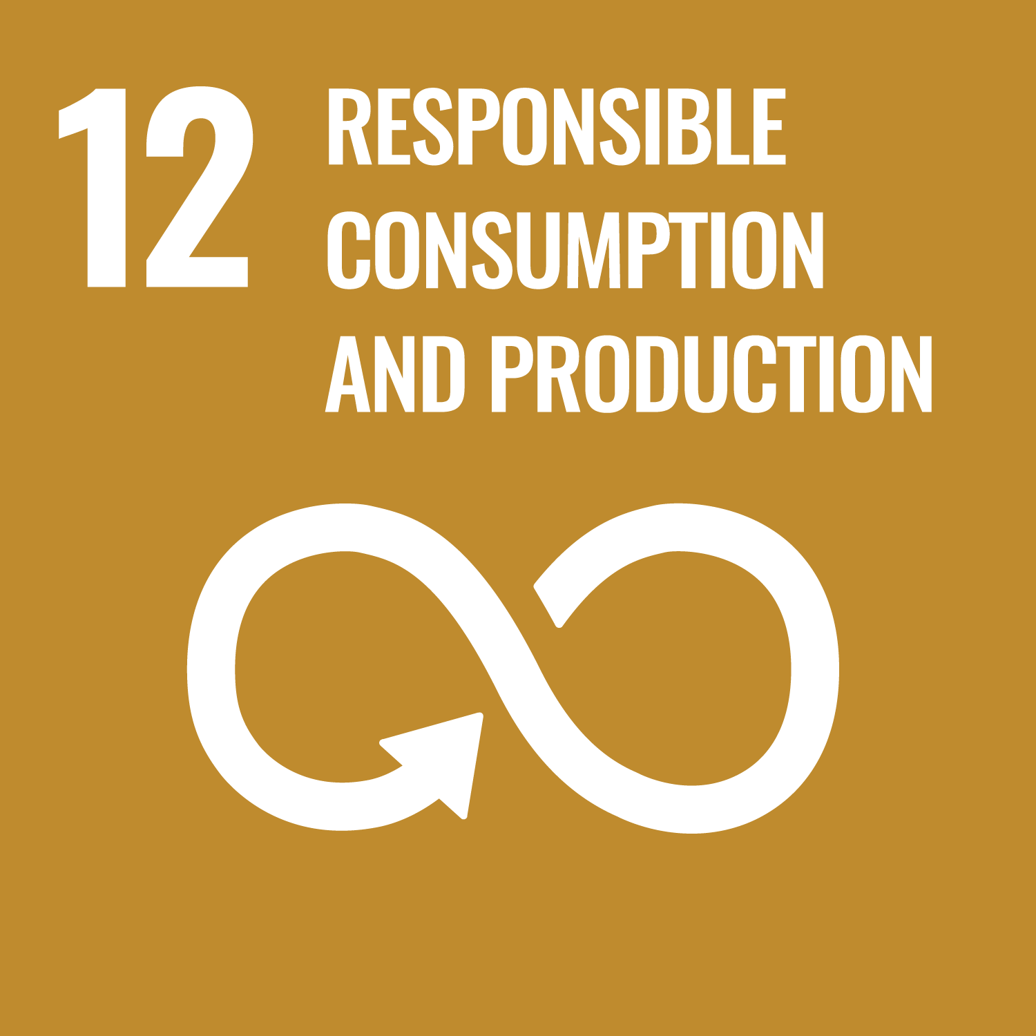 SDG 12 — Responsible Consumption and Production
